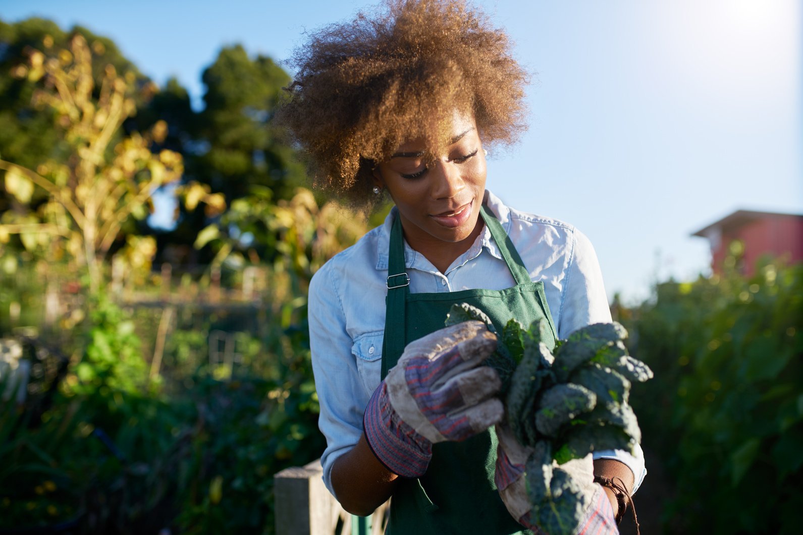 African American Female Gardener